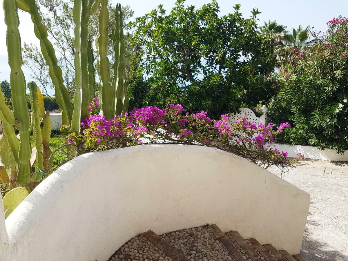 Villa Del Sogno ปาร์เกลียา ภายนอก รูปภาพ